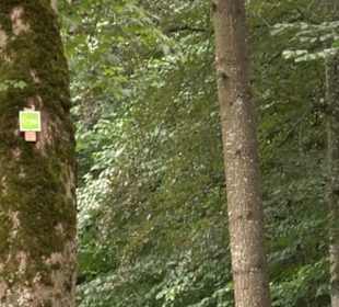 Hochgeträumt Premiumwanderung