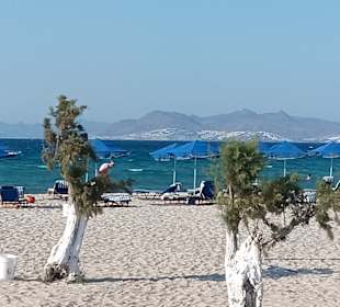 Strand Tigaki