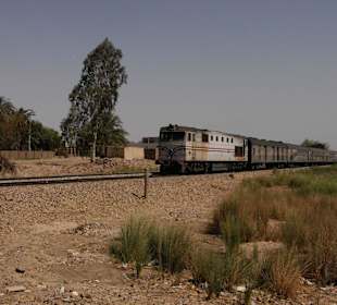 Zug zwischen Assuan und Luxor