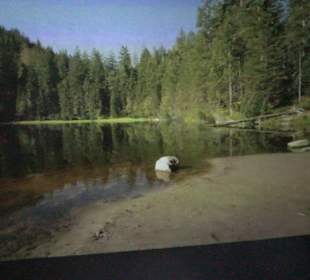 Naturparkzentrum Ruhestein