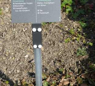 Erläuterungen der Kräuter