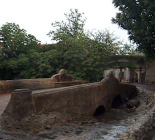 Negli studios sui set