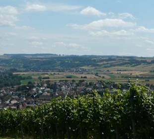 Blick von den Weinbergen / Weingärten Markelsheims