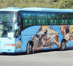 Der Bus fährt zweimal morgens zum Hotel H10 Tindaya