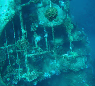 Schiffswrack Abu Ghusun