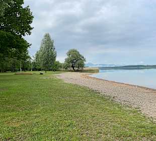 Simssee