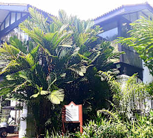 Botanischer Garten