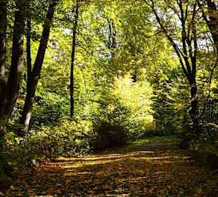 Herbstspaziergang durch den Bürgerpark Bremen