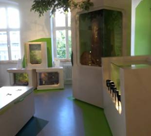 Museum für Naturkunde