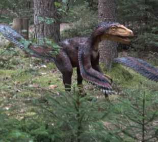 Dinosaurier Museum Altmühltal