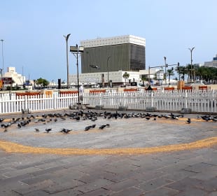Souq Waqif