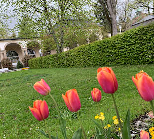 Kurpark Bad Steben