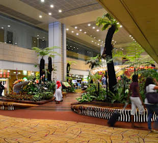 Flughafen Singapur Changi (SIN)