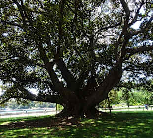 Stadtrundgang Sydney