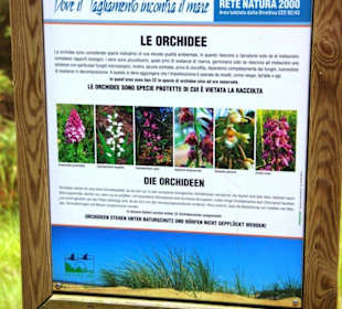 Das Naturreservat von Bibione