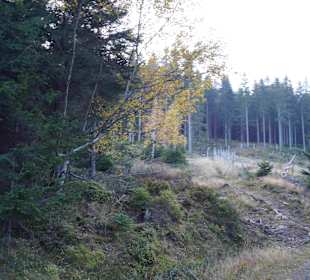 Riesengebirge/Karkonosze