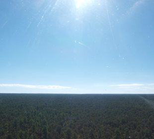 Der Blick auf den Canyon wurde frei