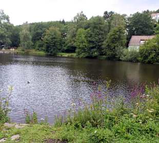 Wandern Unterkirnach