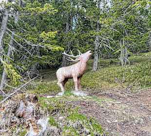 Wandern Ramsau am Dachstein