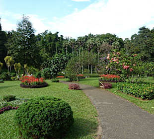 Botanischer Garten