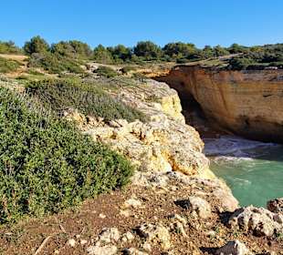 Seven Hanging Valleys Trail 
