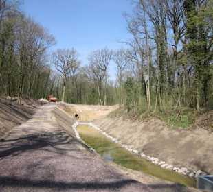 Bei der Lingenfelder Grotte