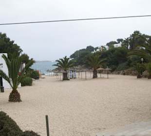 La crique située à 350m