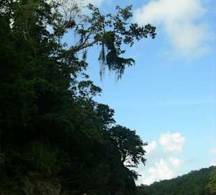 Sehr schöne Landschaft