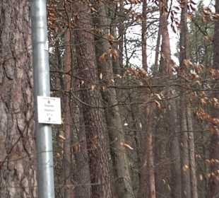 Unterjesinger Wengertwegle