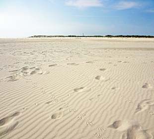 Weg zu den Kniepbuden-Blick zurück zum Leuchtturm 
