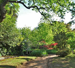 Eindrücke vom Rundgang durch Blandy´s Garden