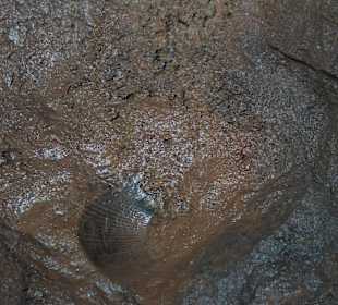 Erzgruben-Erlebniswelt Theresien-Grube Seeigel