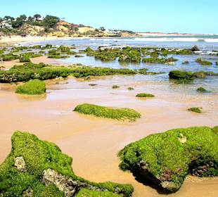 Ebbe...aber noch nicht im Geldbeutel.