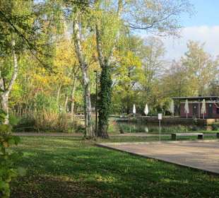 Schwanenweiher Kandel