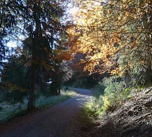 Wandern Balderschwang