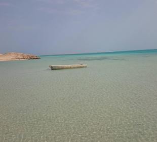 Tagesausflug nach Orange Bay