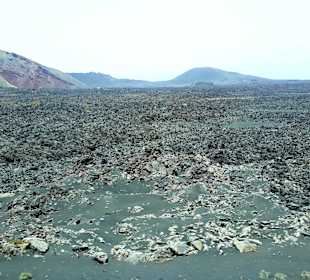 Inselrundfahrt AIDA Tagestour