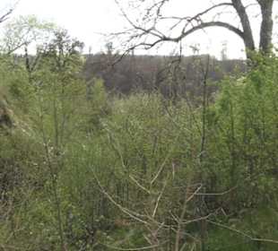 Wanderweg Hochgehswiggert