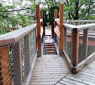 Baumwipfelpfad Usedom
