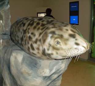 Lebensgroße Exponate