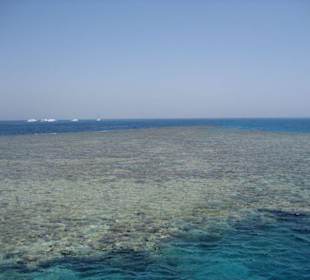 Schnorcheln in Korallenriffen