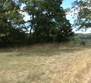 Wandertour Greifensteinrunde