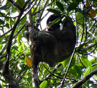 Relax Day Tour mit Federico. Eine kleine Auswahl