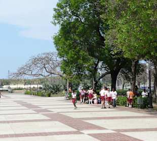 Kinder am Prado