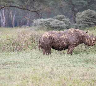 Geführte Touren Marco Polo Tours & Safaris Diani Beach