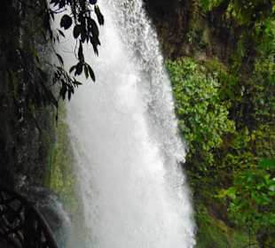 La Paz Waterfall Gardens