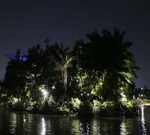 Gardens by the Bay abends