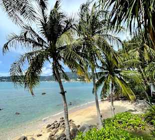 Strand Patong Beach