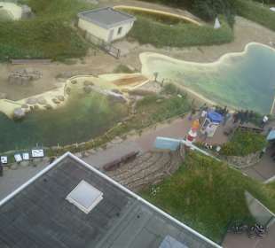 Blick vom Aussichtsturm