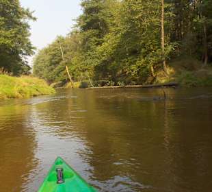 Mała Panew - widok z kajaku
